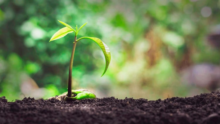 The Spirit Empowers (Zechariah 4:6-10)