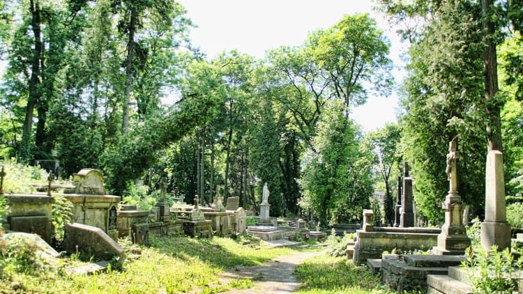 Reasons to Believe in Heaven & Hell