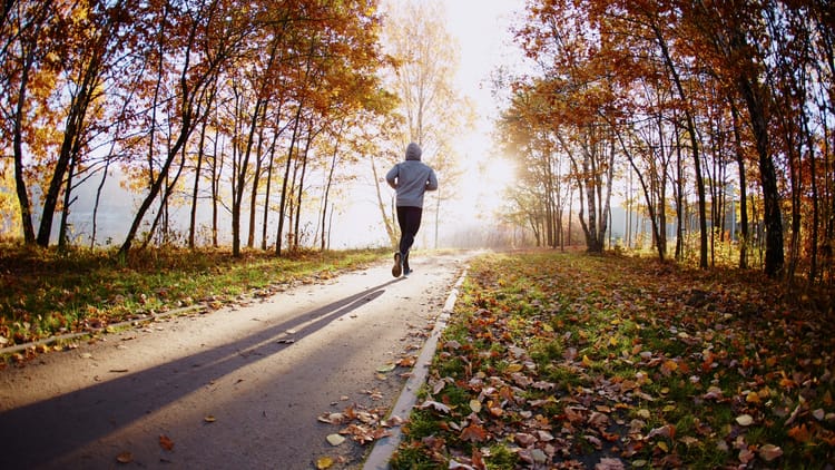 The Sin That So Easily Ensnares