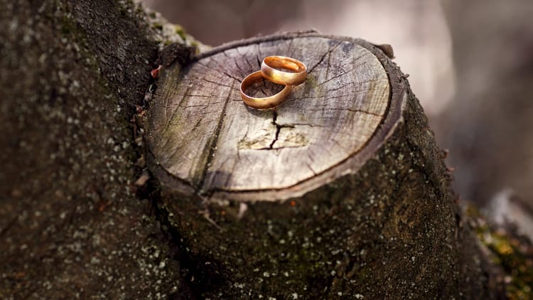 How to Love Your Wife Through the Rough Patches