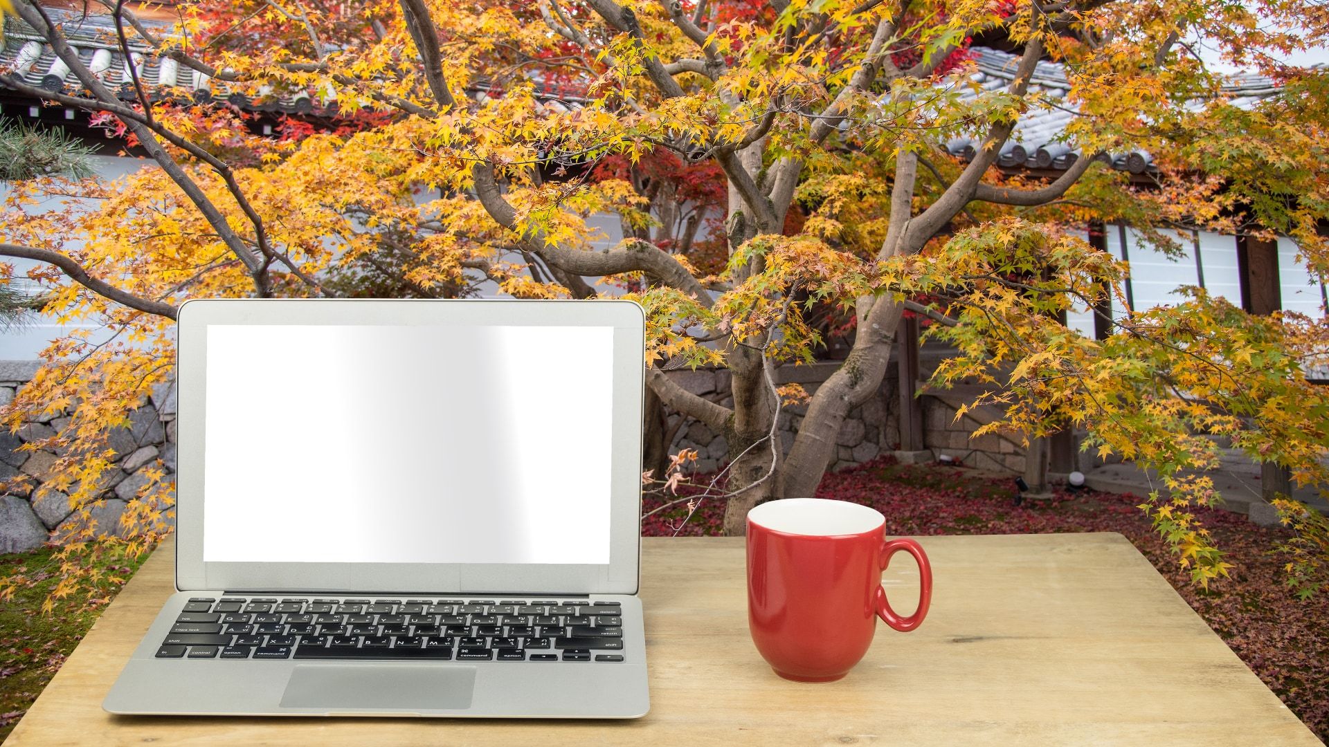 coffee and laptop in Fall