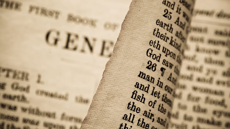 Genesis