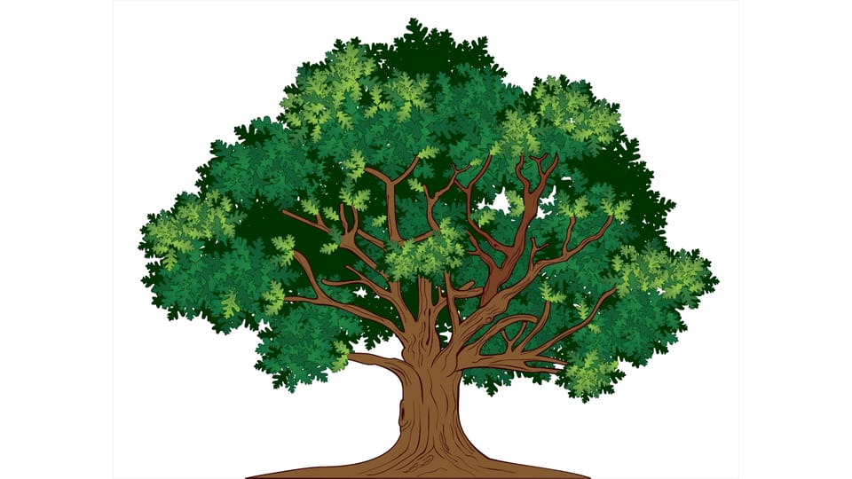 tree
