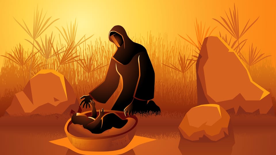 baby Moses
