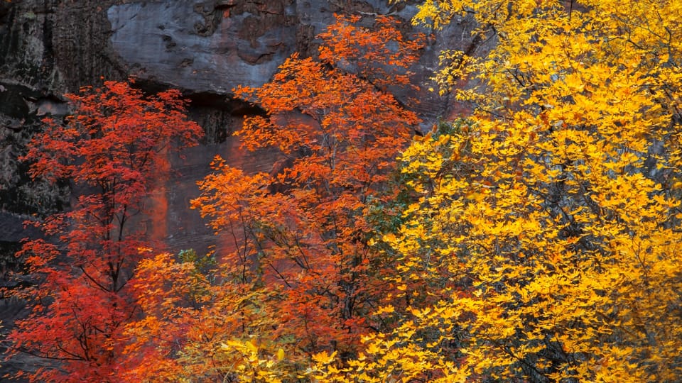 Autumn