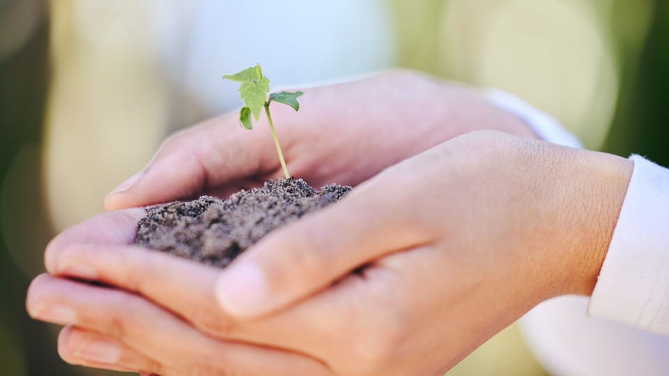 Preparing for Vision (Nehemiah 1:5-11)