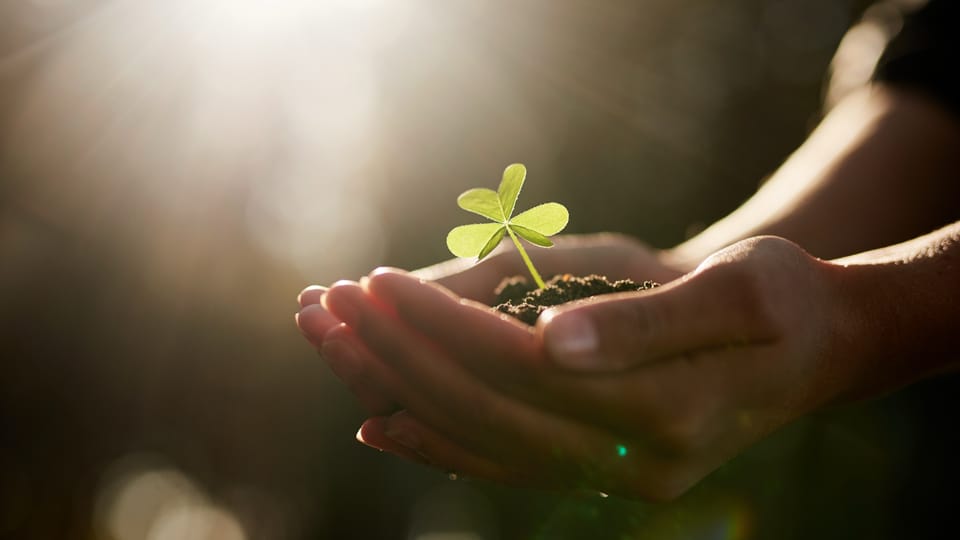 grow