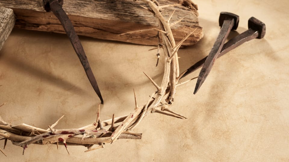crown of thorns
