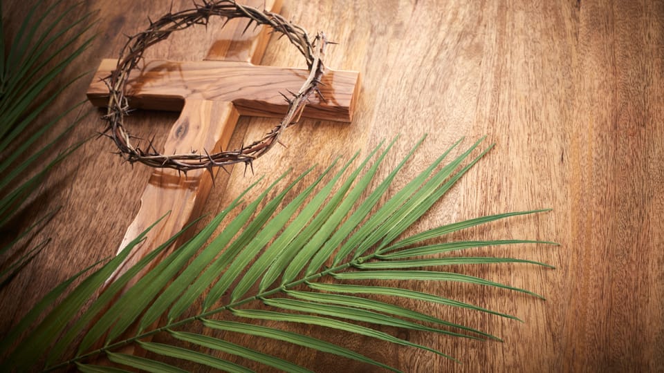 Worship the Right Jesus (Luke 19:28-44)