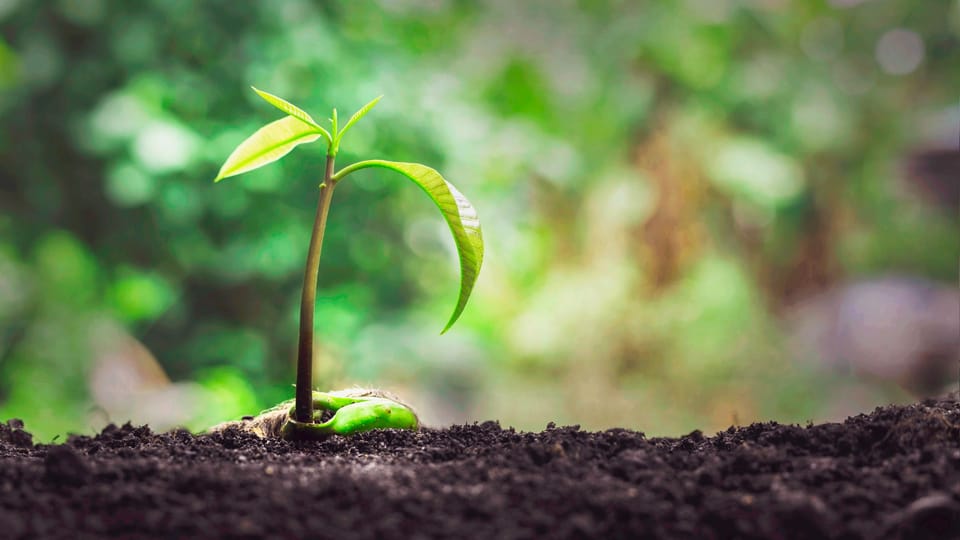 The Spirit Empowers (Zechariah 4:6-10)