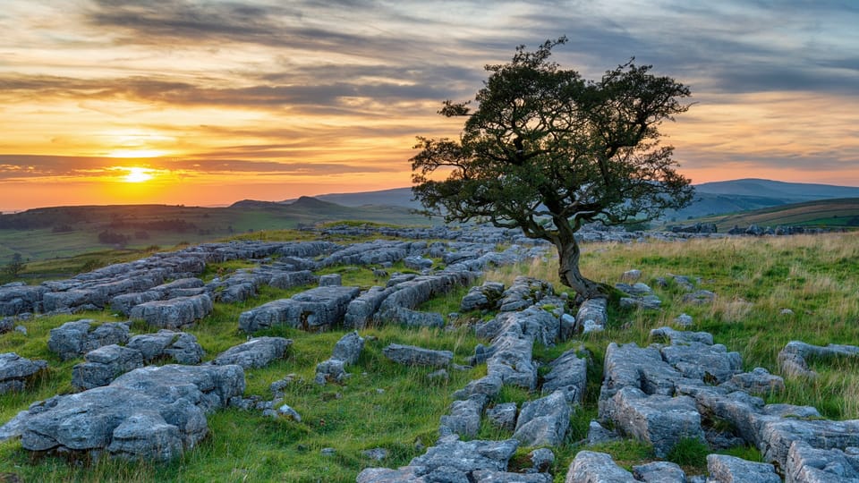 Hard Times Are Fruitful Times