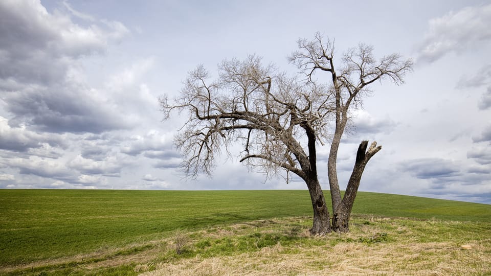 Answering Our Doubt (Luke 1:5-25)