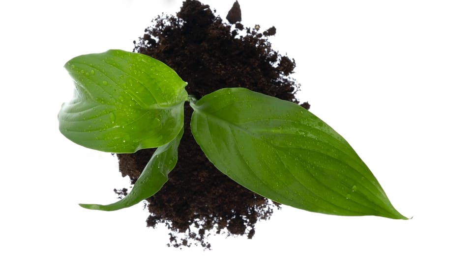 Transformed Living; Transformed Giving (Romans 12:2)