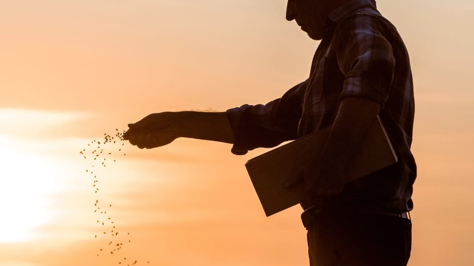Why Parables? (Mark 4:1-20)