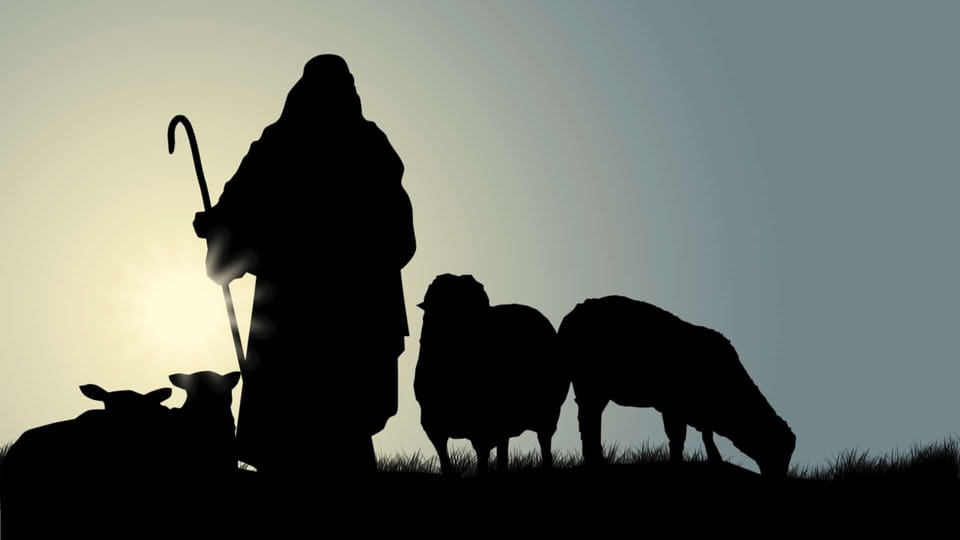 shepherd