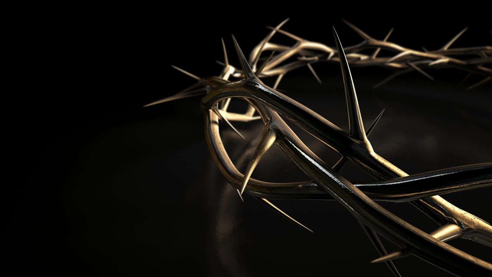 crown of thorns