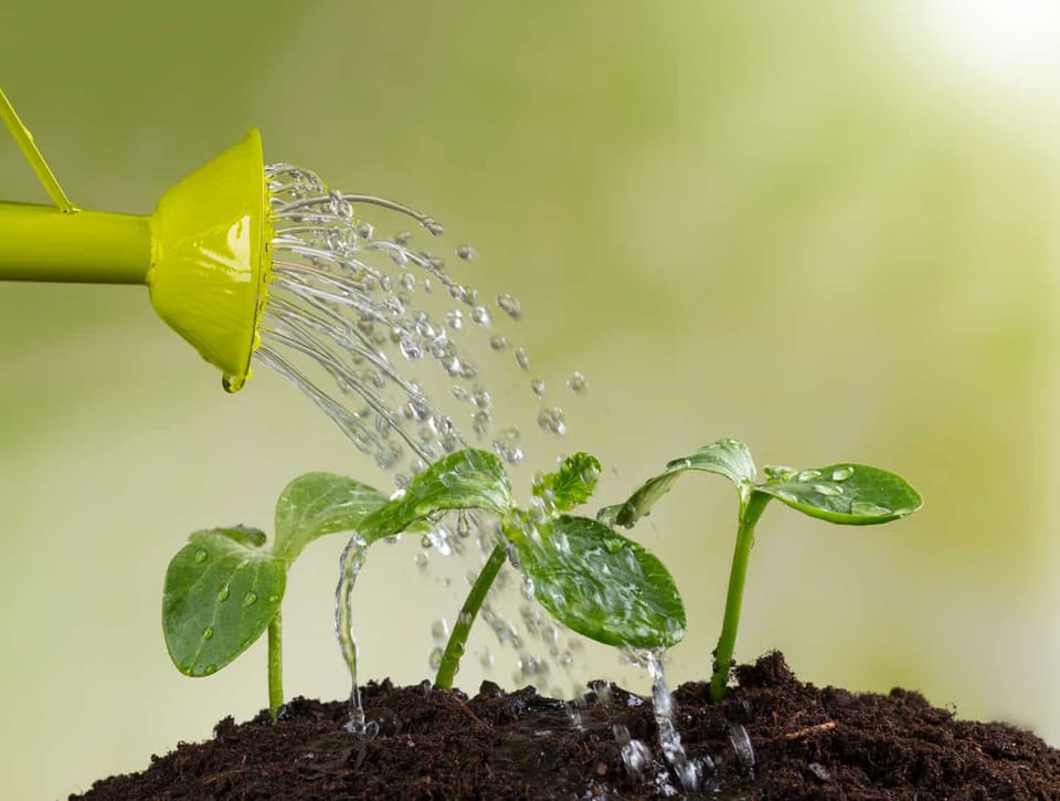 watering can