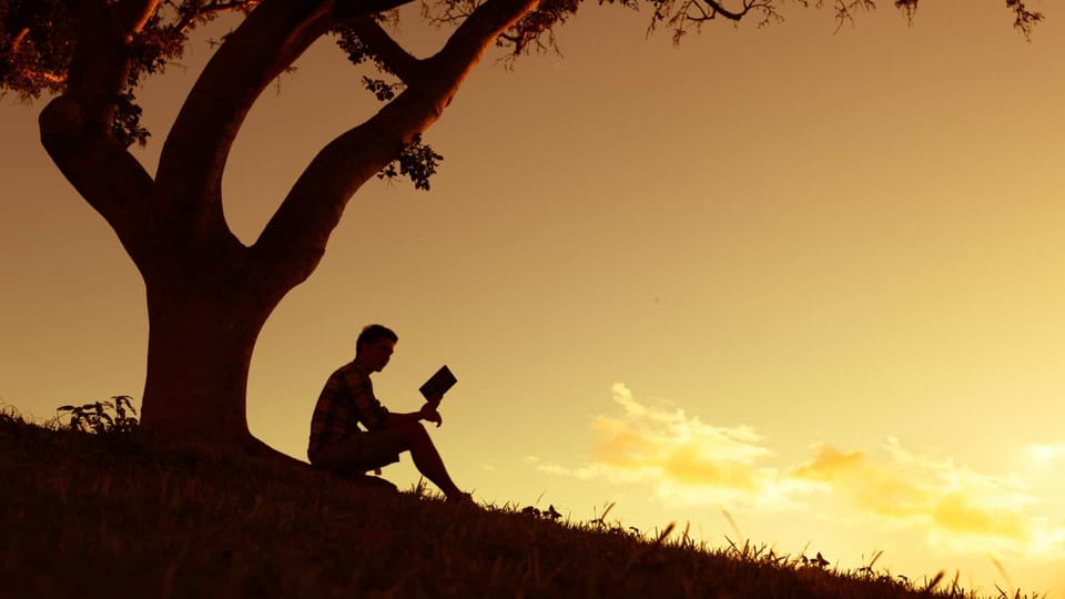 reading under a tree