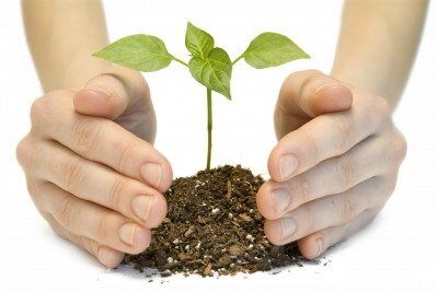 Become a Planting Church
