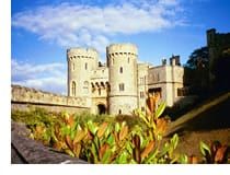 windsor.jpg