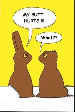 easter_bunnies.jpg