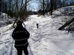 Walk in the Snow