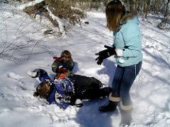 Snowball fight